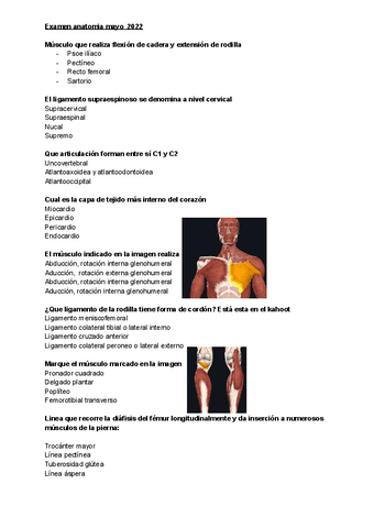 Examen-anatomia-mayo-2022.pdf
