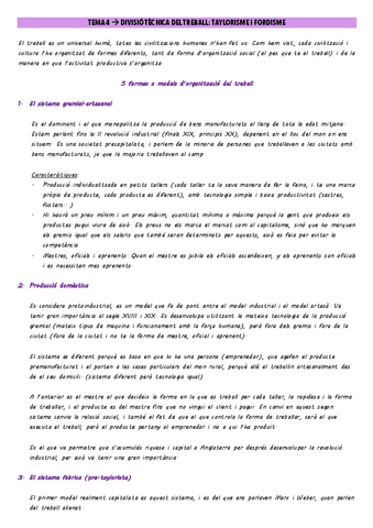 TEMA-4.divisio-tecnica-del-treballdocx.pdf