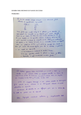 Examen Problemas .pdf