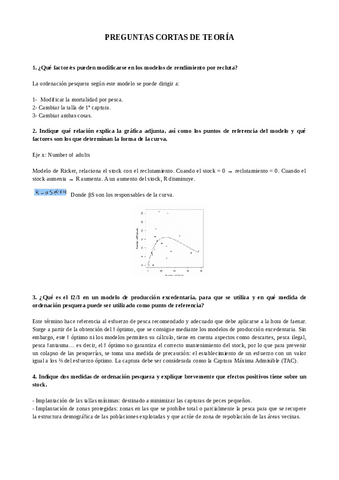 preguntas-cortas-teoria.pdf