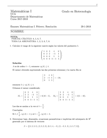 matI_f18_resolucion.pdf