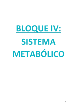 Miniatura del documento 4.SISTEMA METABÓLICO.pdf