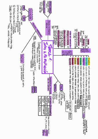 Esquemas-Motivacion.pdf