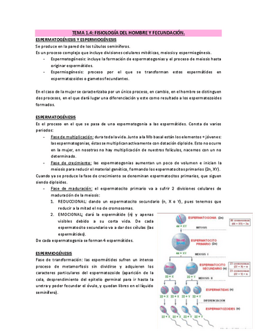 TEMA-1.4-FISIOLOGIA-DEL-HOMBRE-Y-FECUNDACION.pdf