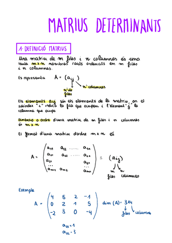 MATRIUS-TOT-APUNTS.pdf