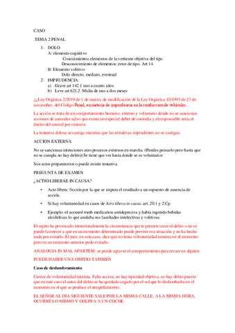 TEMA-2-PENAL.pdf