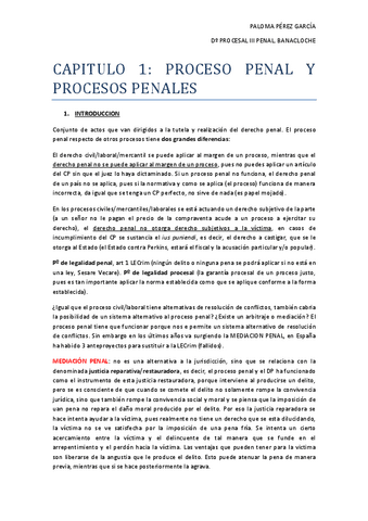 DERECHO-PROCESAL-III-BANACLOCHE.pdf