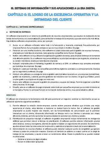 TEMA-6-EL-LOGRO-DE-LA-EXCELENCIA-OPERATIVA....pdf