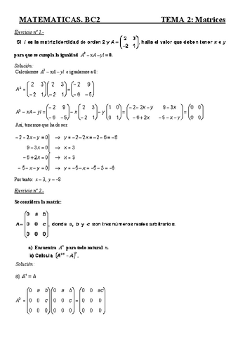 Tema-021-Matrices.pdf