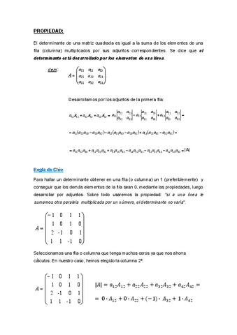 Desarrollo-por-elementos-linea-Chio.pdf