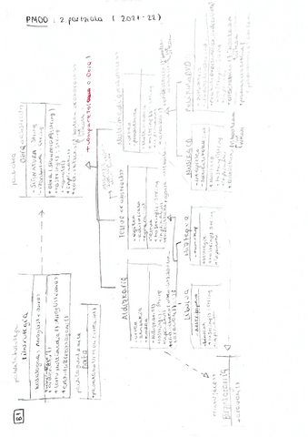 PMOO2.partziala202122.pdf