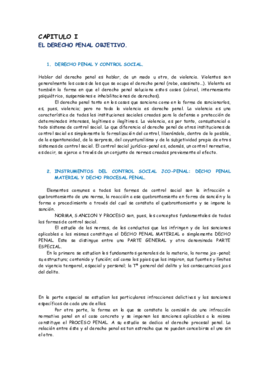 Apuntes penal.pdf