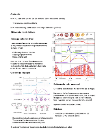 Ginecologia.pdf