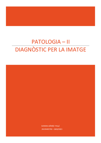 DIAGNOSTIC-X-LA-IMATGE-2n-SEMESTRE.pdf