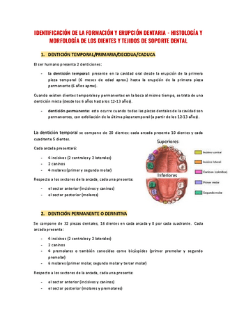 EstudioCavidadOralTema1.pdf.pdf