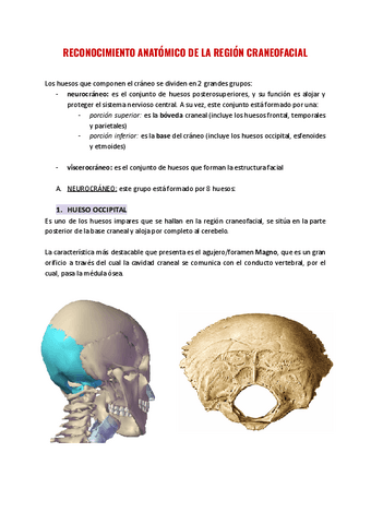 EstudioCavidadOralTema2.pdf