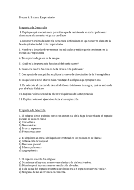 Autoevaluacion Bloque 4.pdf