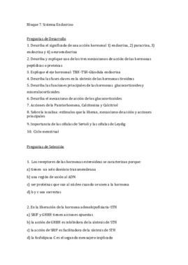 Autoevaluación Bloque 7.pdf