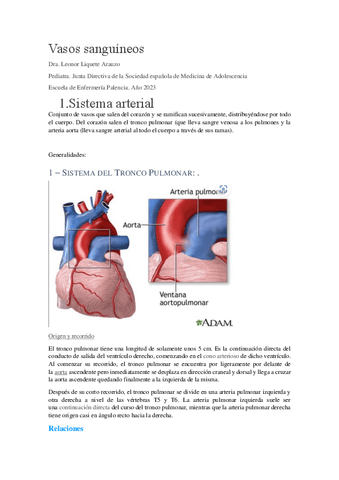 arterias.pdf