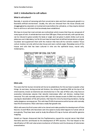 Tema-1-Imprimir.pdf
