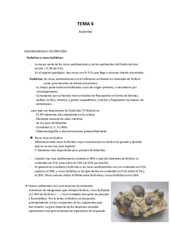 Tema 6 - Fosforitas.pdf