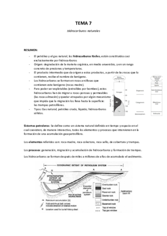 Tema 7 - Hidrocarburos naturales.pdf