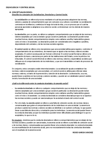 Conceptualizaciones.pdf