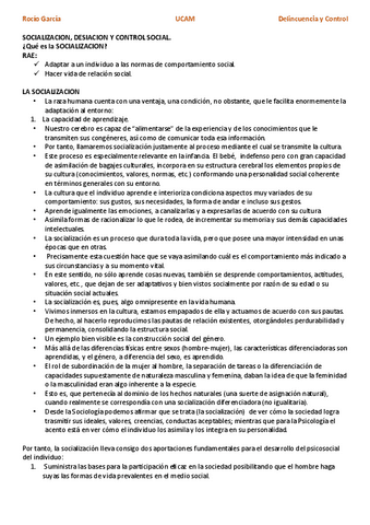 delincuencia-T3.pdf