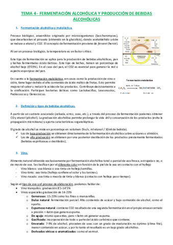 T4 Fermentación Alcohólica.pdf