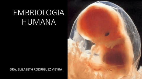embriologiafinal.pdf