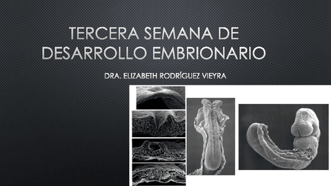 TERCERA-SEMANA-DE-DESARROLLO-EMBRIONARIO-pdf.pdf