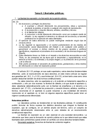 TEMA-6.pdf