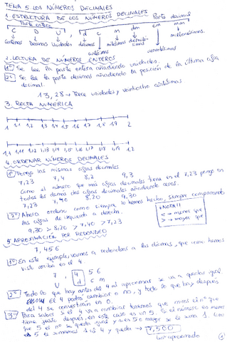 TEMA-5LOS-NUMEROS-DECIMALES.pdf