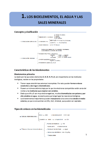 1.-bioelementos-agua-y-sales-minerales.pdf