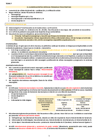 IV.-GLOMERULOPATIAS-CRONICAS-PRIMARIAS-PROLIFERATIVAS.pdf