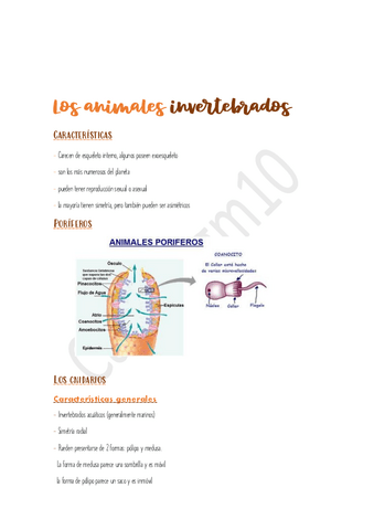 Los-Animales-INVERTEBRADOS.pdf