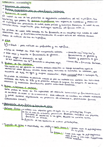 resumen-lab-biotec.pdf
