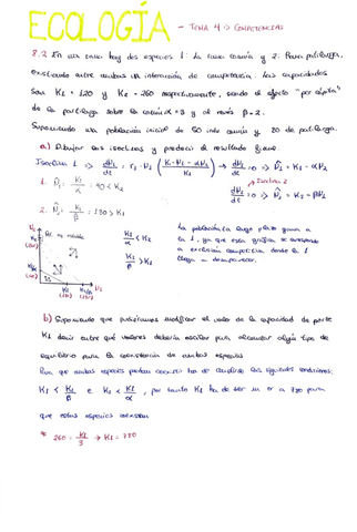 Ejercicios-de-competencias.-T.4.pdf