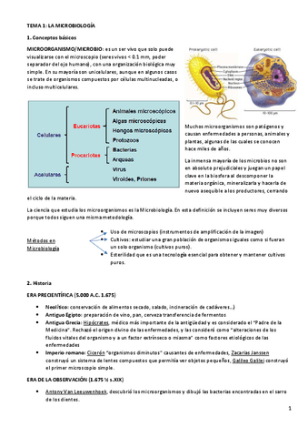 T1.pdf