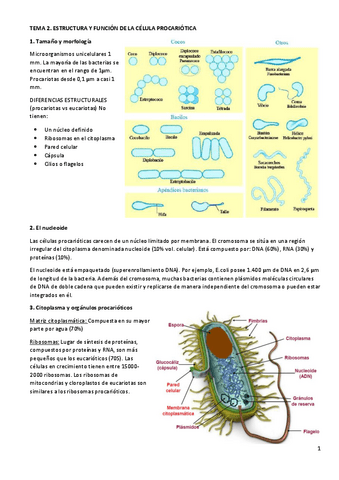 T2.pdf