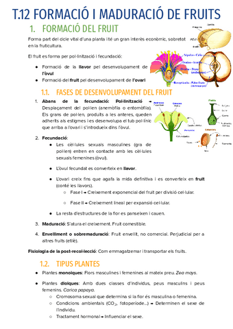 T.12-FORMACIO-I-MADURACIO-DE-FRUITS.pdf