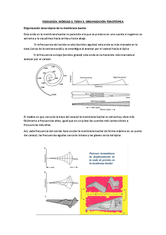 FISIOLOGIA.-MODULO-2.-TEMA-5.-ORGANIZACION-TONOTOPICA.pdf