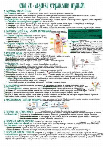 Tema-20-inmunologia.pdf