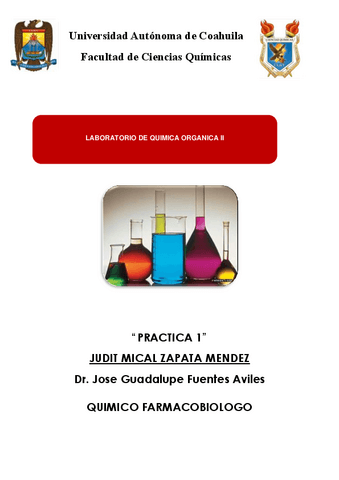 PRACTICA-1-QO-II-Judit-Zapata-1.pdf