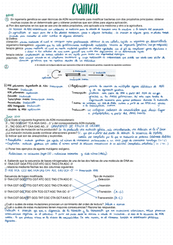 Examen-biologia-2a-evaluacion.pdf