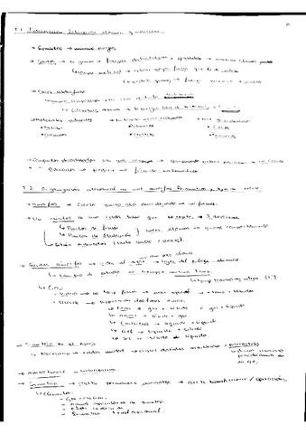 Teoria-primer-parte.pdf