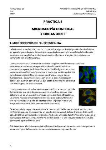 Practica-8-Microscopio-confocal-y-organoides.pdf