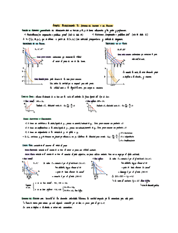 Apuntes-T2-Micro.pdf
