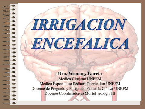 IRRIGACIÓN ENCEFÁLICA.pdf