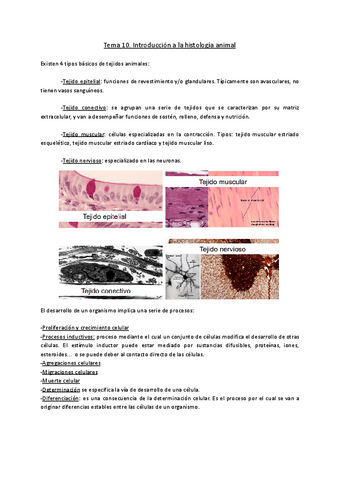 Histologia-animal.pdf